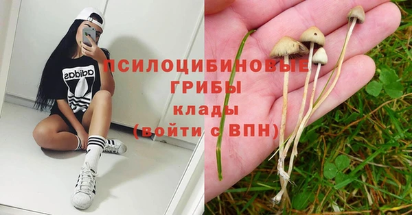 гидропоника Инсар