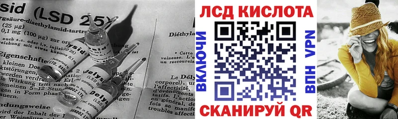 дарнет шоп  Кодинск  ЛСД экстази кислота 